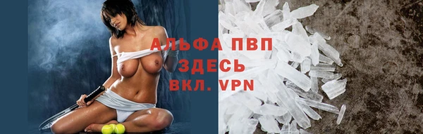 прущие крисы Горняк