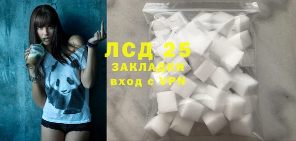 прущие крисы Горняк