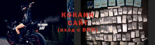 прущие крисы Горняк