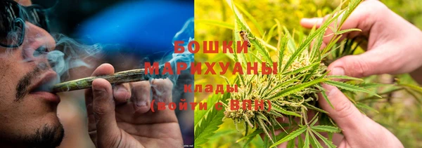сатива Вязьма