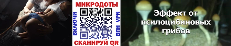 Псилоцибиновые грибы прущие грибы  Купить  Дубна 
